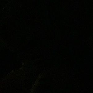 Meet your Posher, Mackenzie